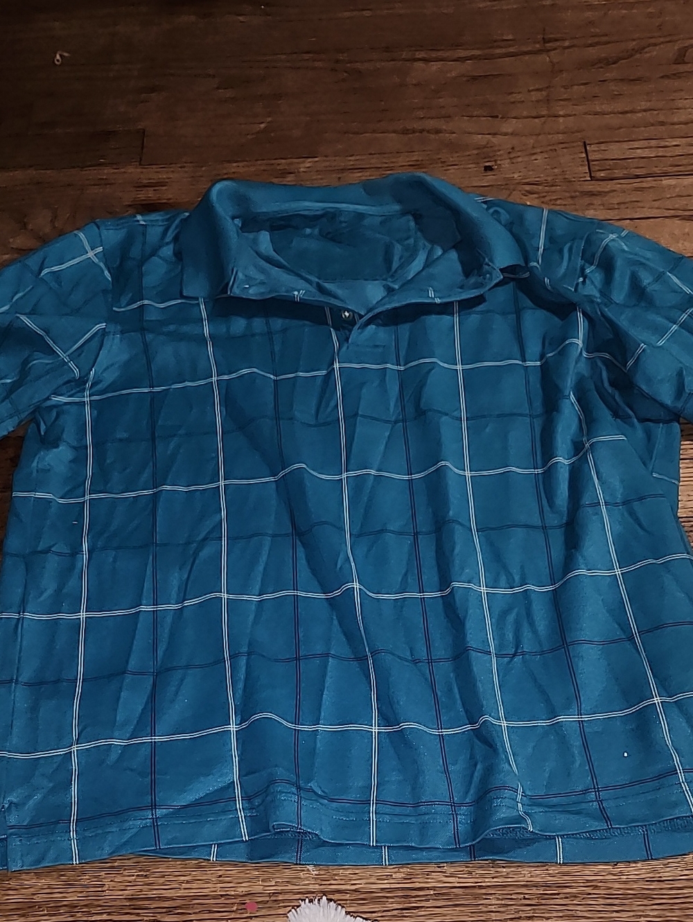 Van Heusen Blue Windowpane Polo